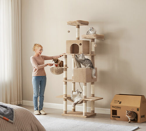 Cat Trees