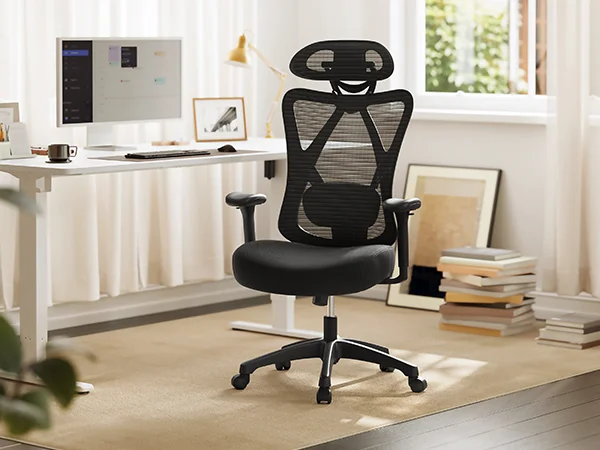 Office Chairs